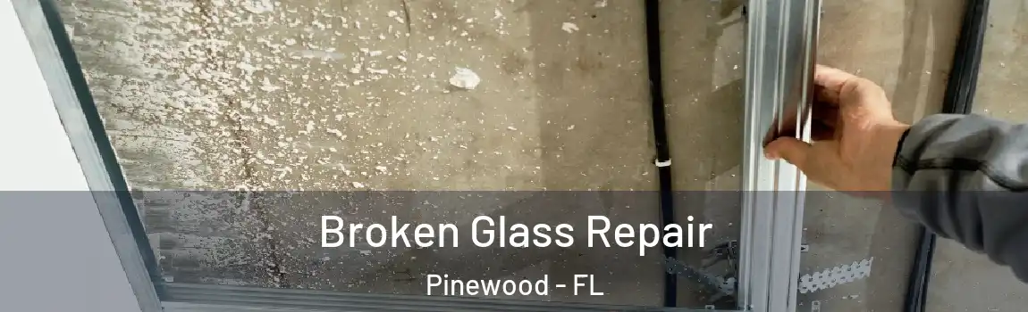 Broken Glass Repair Pinewood - FL