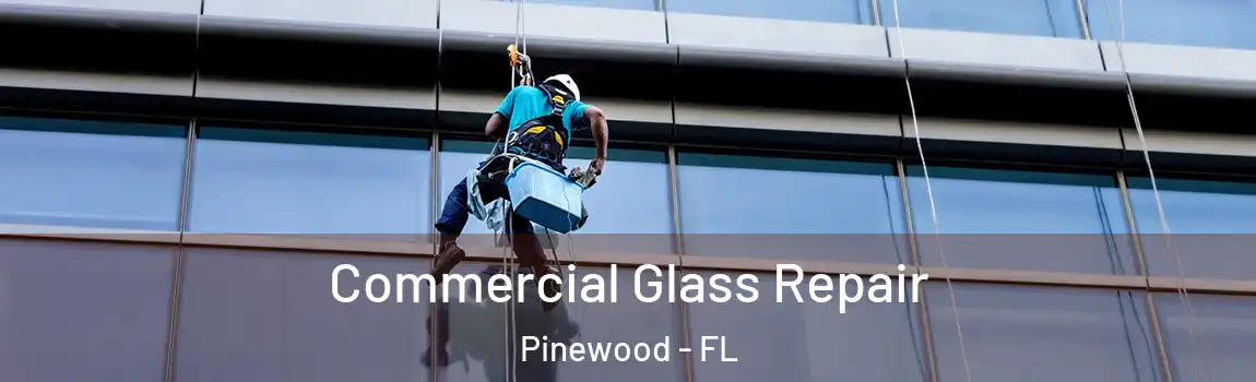 Commercial Glass Repair Pinewood - FL