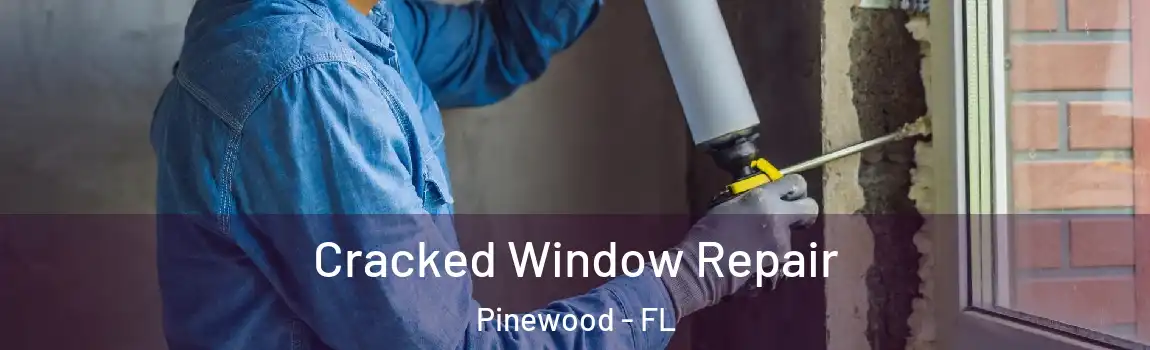 Cracked Window Repair Pinewood - FL