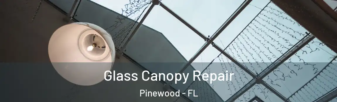 Glass Canopy Repair Pinewood - FL