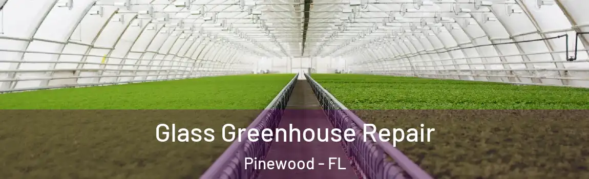  Glass Greenhouse Repair Pinewood - FL
