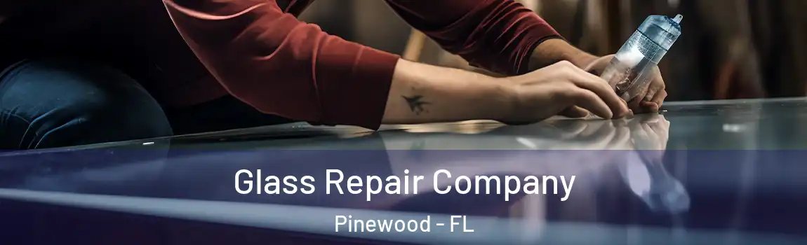 Glass Repair Company Pinewood - FL