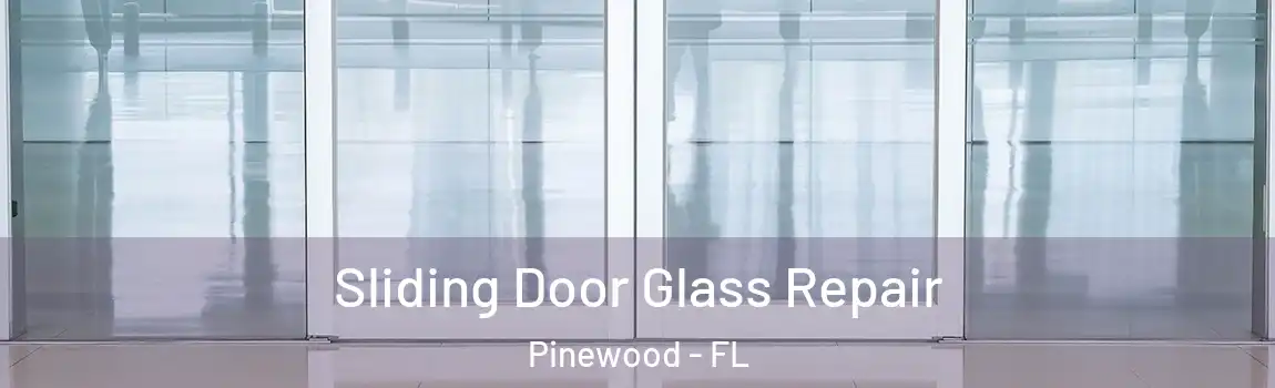  Sliding Door Glass Repair Pinewood - FL