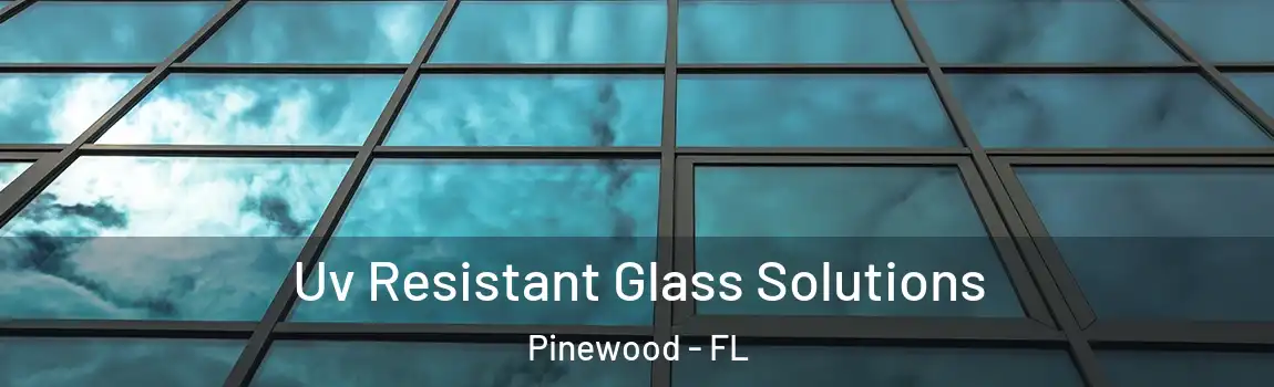Uv Resistant Glass Solutions Pinewood - FL