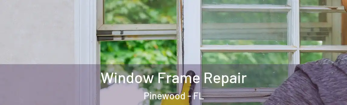 Window Frame Repair Pinewood - FL