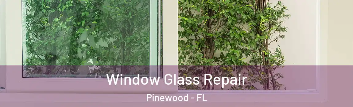Window Glass Repair Pinewood - FL