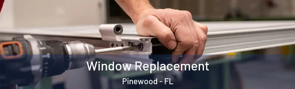 Window Replacement Pinewood - FL
