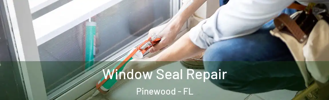 Window Seal Repair Pinewood - FL